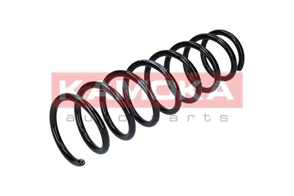 Suspension Spring (2120123)