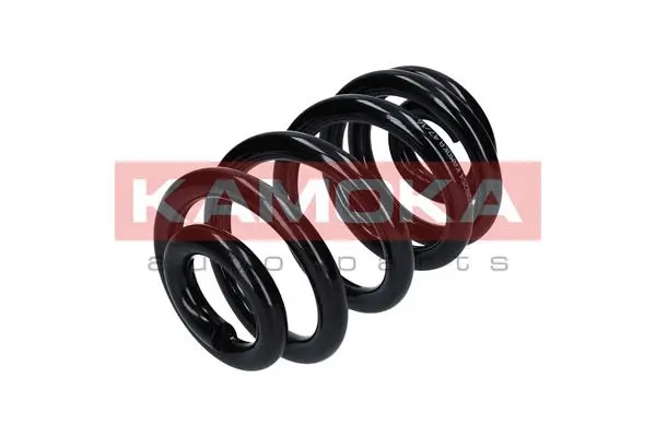 Suspension Spring (2120254)