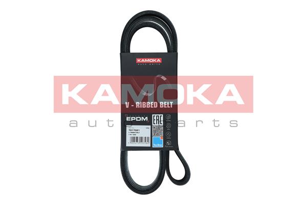 V-Ribbed Belt (7017021)