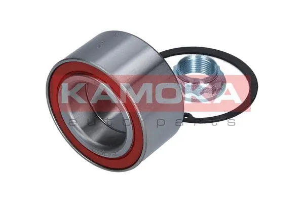 Wheel Bearing Kit (5600079)