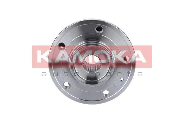 Wheel Bearing Kit (5500054)