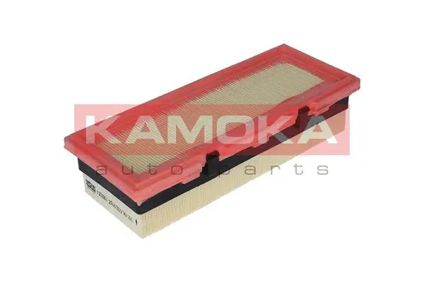 Air Filter (F233901)