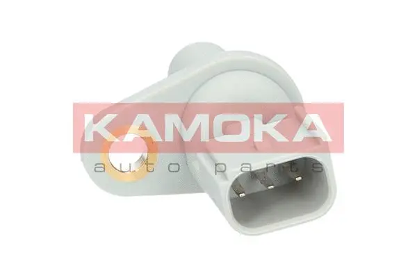 Sensor, camshaft position (108011)