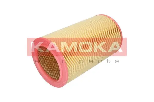 Air Filter (F236401)