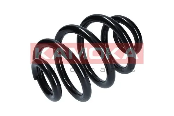 Suspension Spring (2120076)