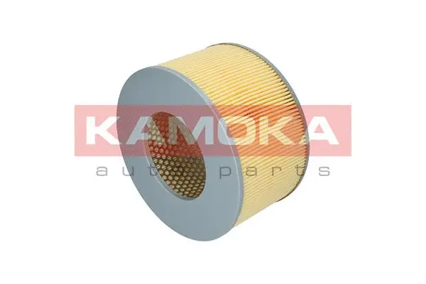 Air Filter (F215901)