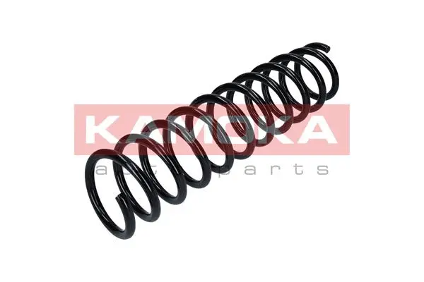 Suspension Spring (2120237)