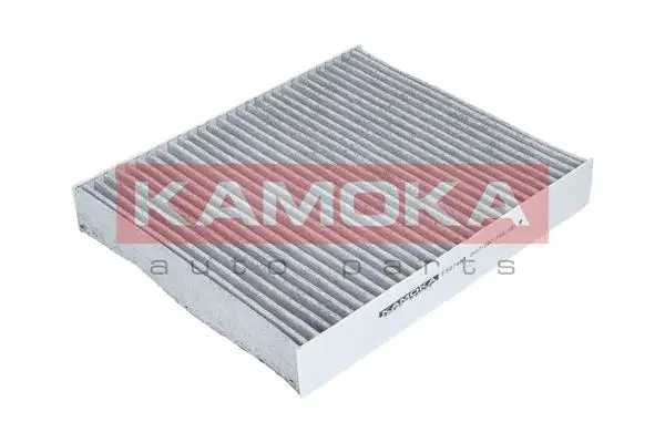 Filter, cabin air (F507401)