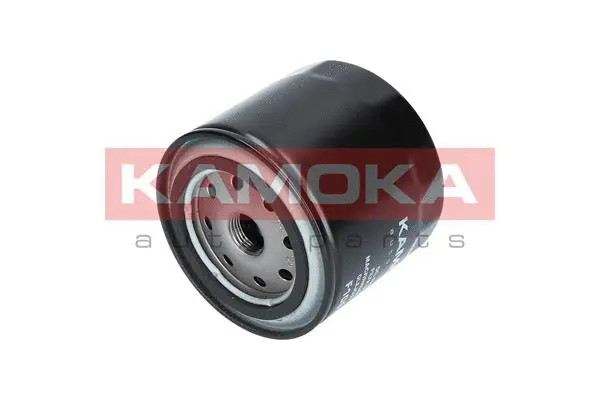 Oil Filter (F106701)