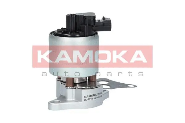 EGR Valve