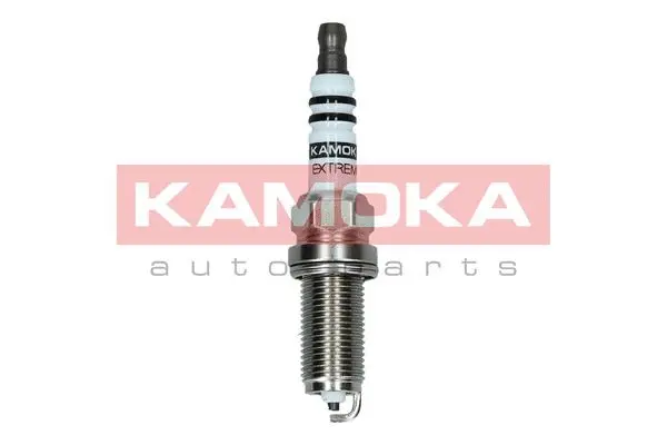 Spark Plug (7090525)