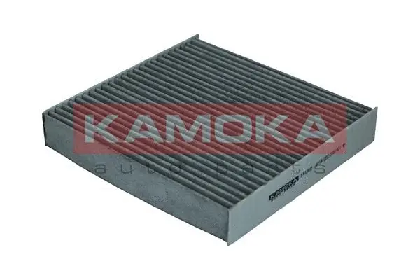 Filter, cabin air (F510601)