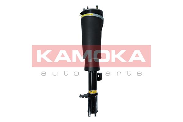 Air Suspension Strut (2070021)