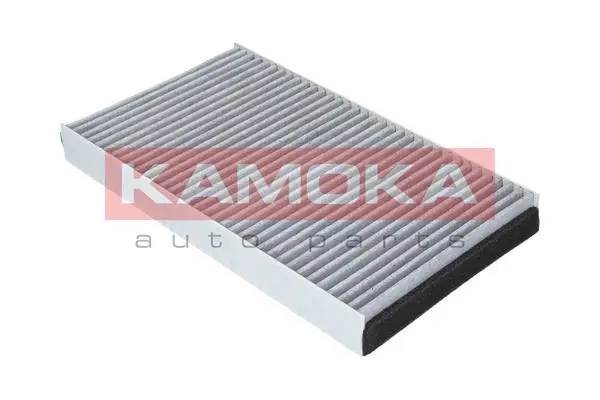 Filter, cabin air (F501901)