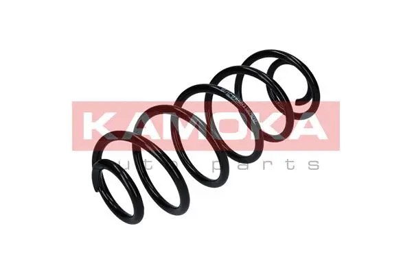 Suspension Spring (2120285)