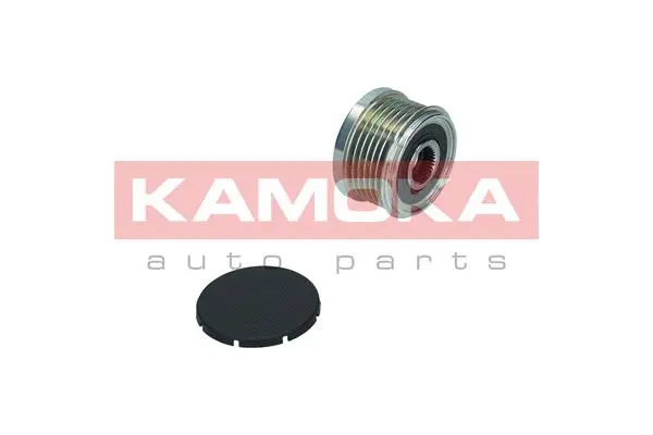 Alternator Freewheel Clutch