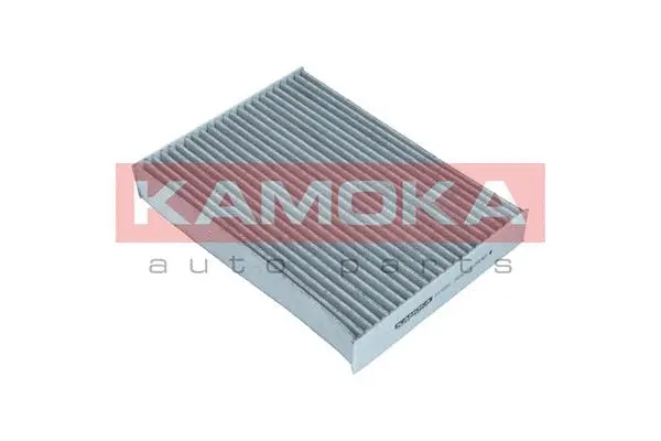 Filter, cabin air (F510201)