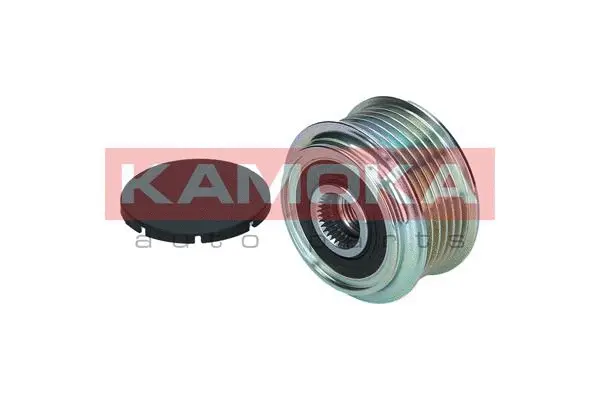 Alternator Freewheel Clutch