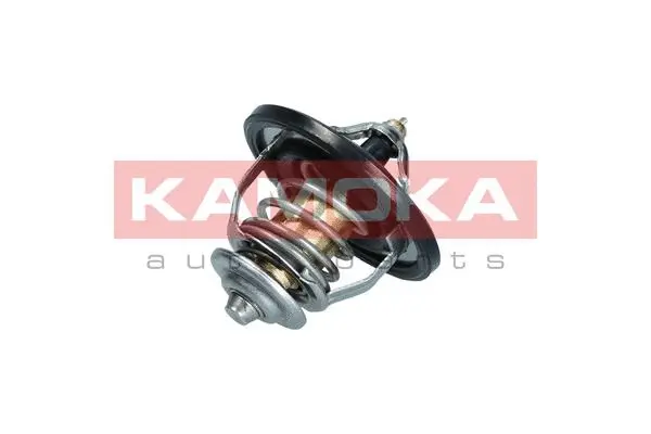 Thermostat, coolant (7710106)