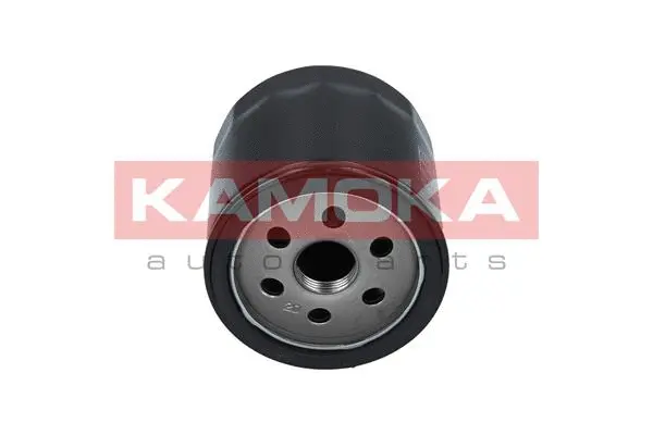Oil Filter (F102901)