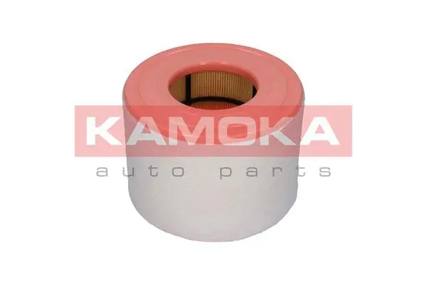 Air Filter (F236901)
