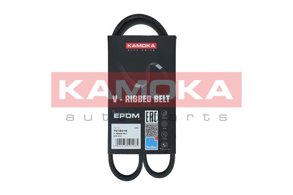V-Ribbed Belt (7016016)