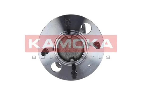 Wheel Bearing Kit (5500072)