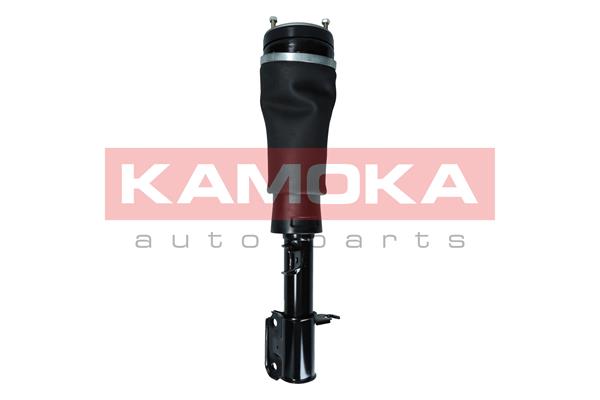 Air Suspension Strut