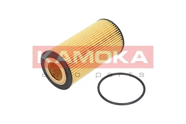 Oil Filter (F110101)