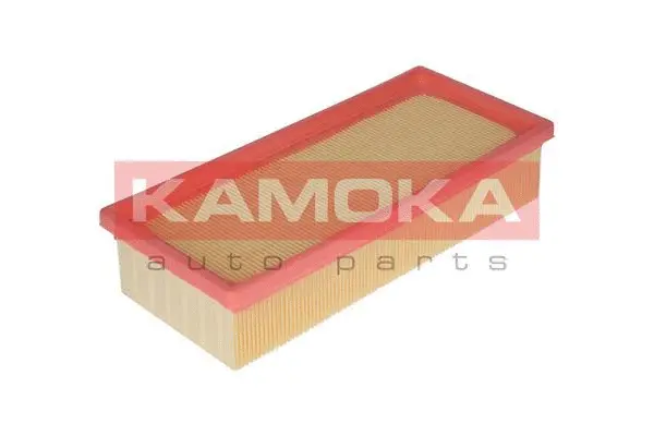 Air Filter (F209601)