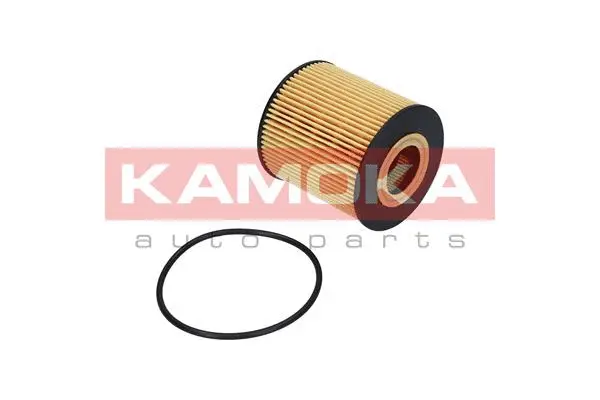 Oil Filter (F107001)