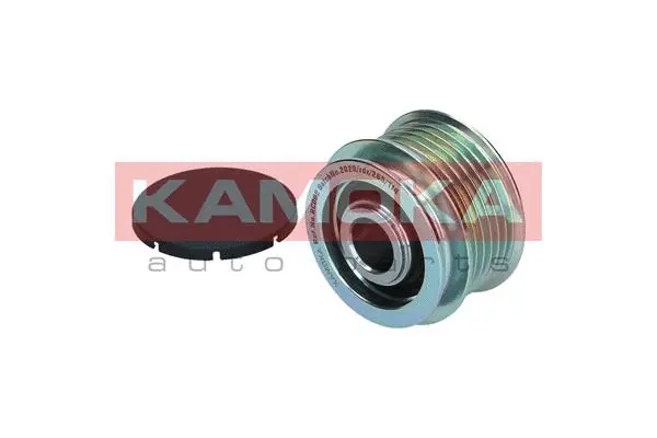 Alternator Freewheel Clutch