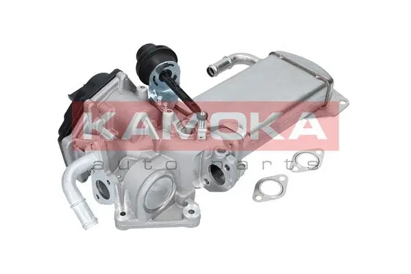 EGR Module