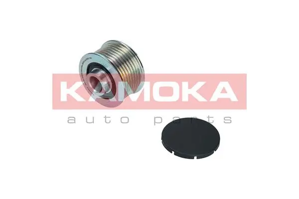 Alternator Freewheel Clutch