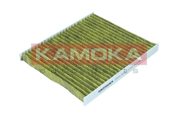 Filter, cabin air (6080152)