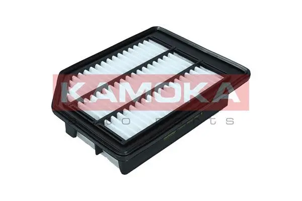 Air Filter (F253101)