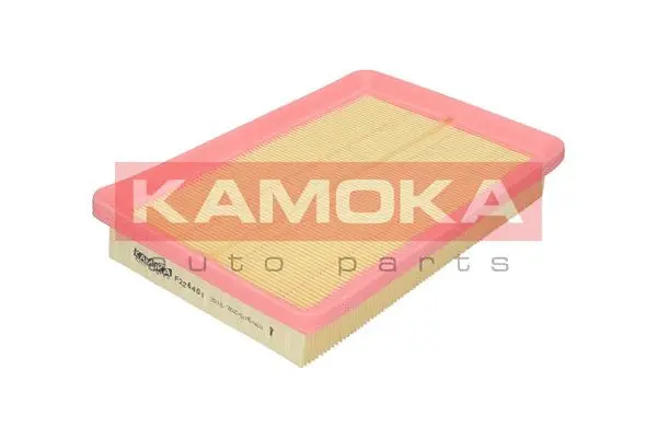 Air Filter (F226401)