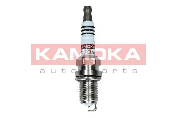Spark Plug (7100060)