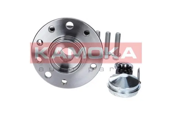 Wheel Bearing Kit (5500060)