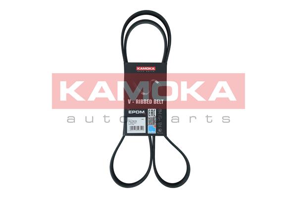 V-Ribbed Belt (7017015)