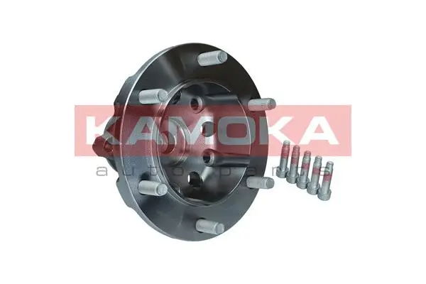Wheel Bearing Kit (5500255)