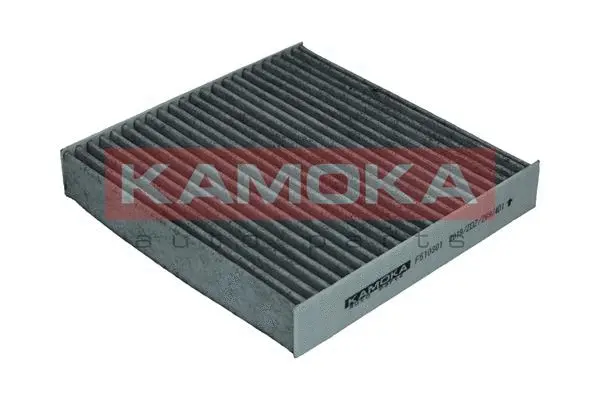 Filter, cabin air (F510301)