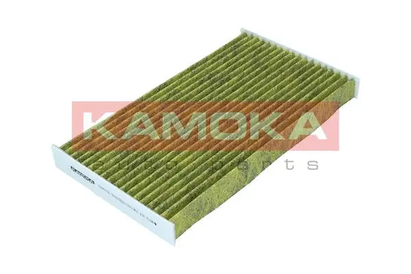 Filter, cabin air (6080155)