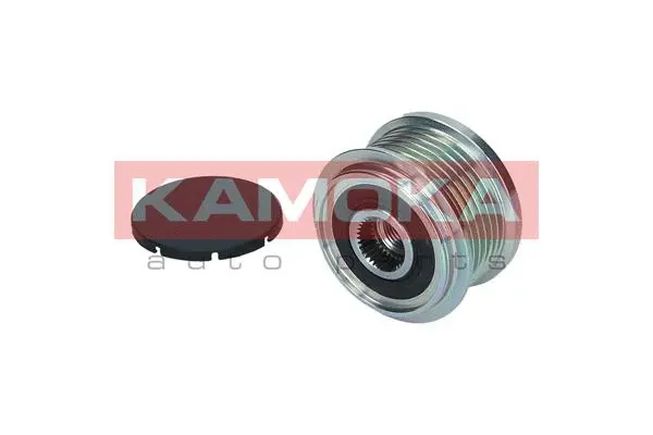 Alternator Freewheel Clutch