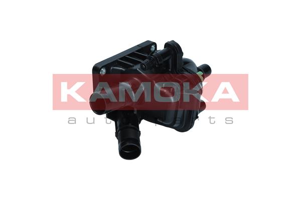 Thermostat, coolant