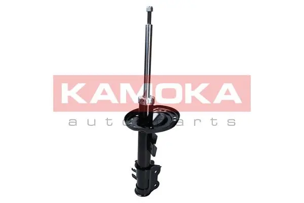 Shock Absorber (2000144)