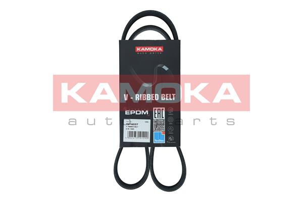 V-Ribbed Belt (7016037)