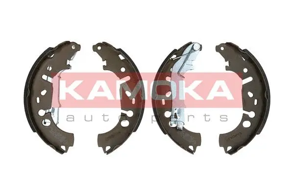 Brake Shoe Set (JQ202058)