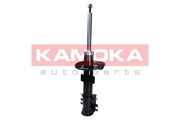 Shock Absorber