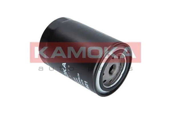 Oil Filter (F112801)